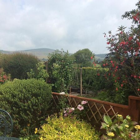 Maenclochog Brynhaul Bed And Breakfast מראה חיצוני תמונה