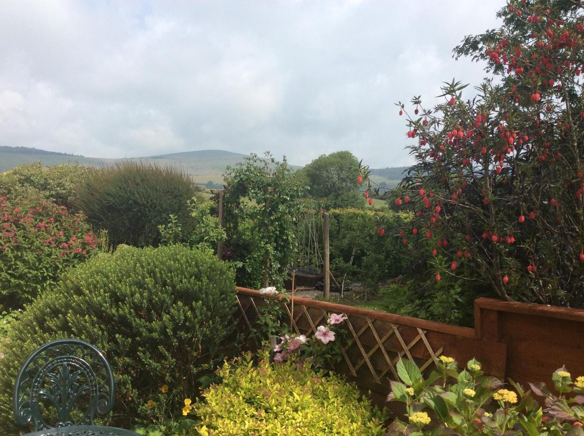 Maenclochog Brynhaul Bed And Breakfast מראה חיצוני תמונה